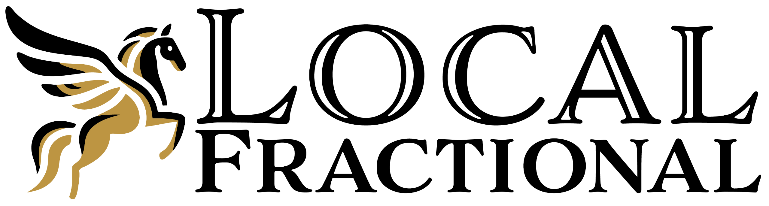 Local Fractional LLC | Faith-Based Executives | Christian CFO